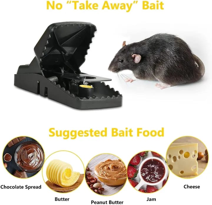 Mouse Trap
